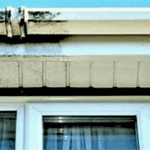 ALT: Before and after pressure washing showing improved exterior siding cleanliness.