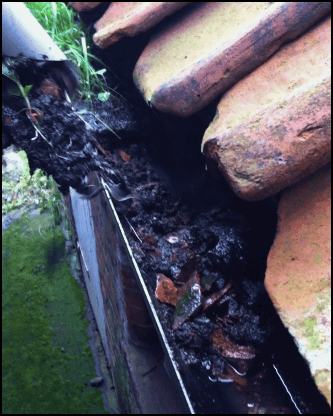 Professional gutter clearing service in Stoke-on-Trent—Williams Exterior Shine removes debris to prevent blockages and water damage