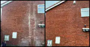 Driveway before and after cleaning