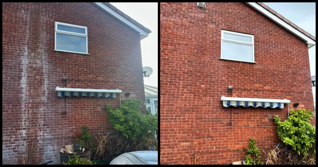 Clean brick wall after pressure washing for improved appearance and longevity.