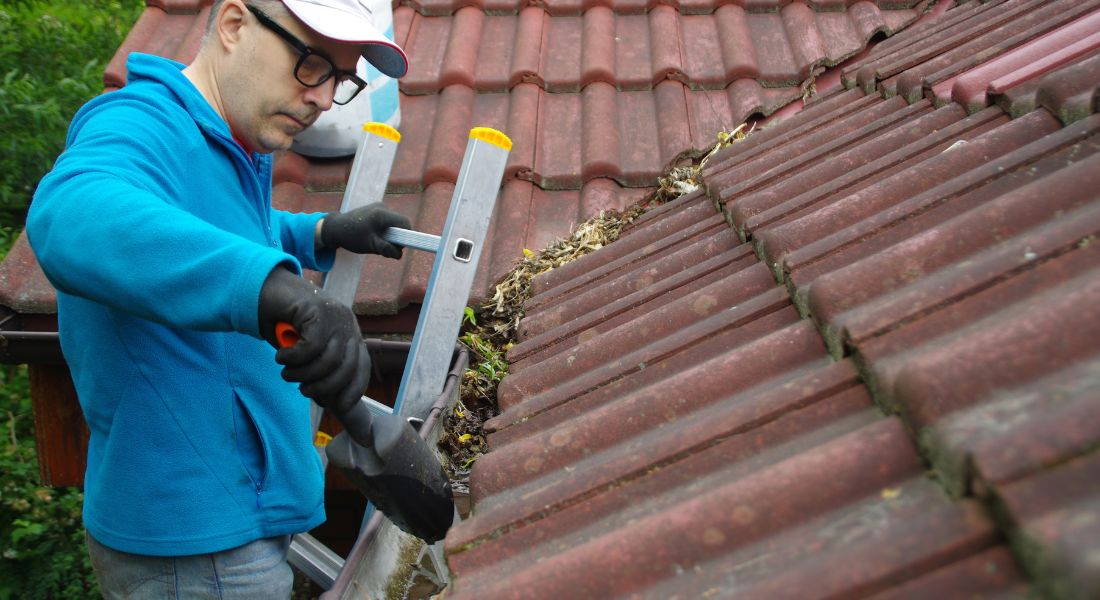 stafford gutter cleaning