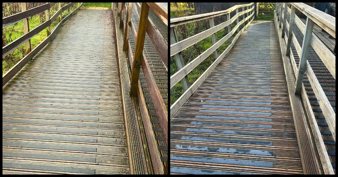 Professional pressure washing service