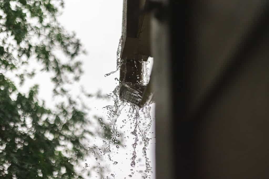 Gutter cleaning in Staffordshire – clear and free-flowing gutters.