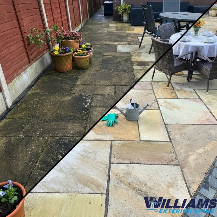 Williams Exterior Shine