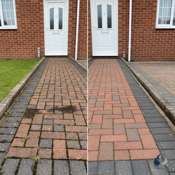 Williams Exterior Shine
