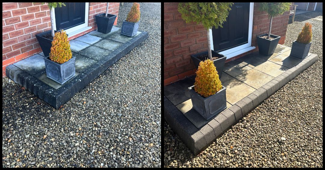 Williams Exterior Shine