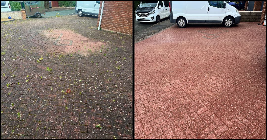 Williams Exterior Shine