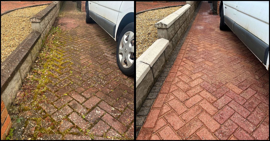 Williams Exterior Shine